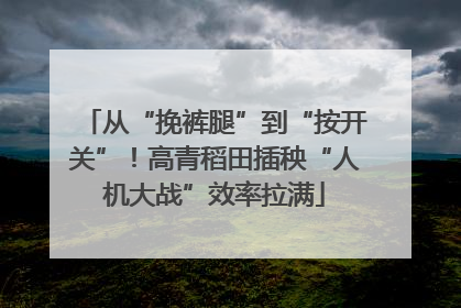从“挽裤腿”到“按开关”！高青稻田插秧“人机大战”效率拉满