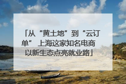 从“黄土地”到“云订单” 上海这家知名电商以新生态点亮就业路