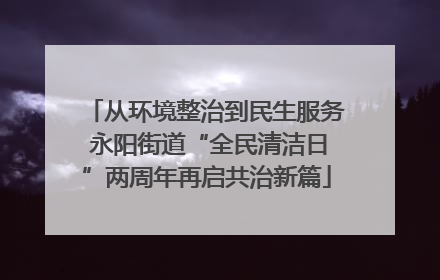 从环境整治到民生服务 永阳街道“全民清洁日”两周年再启共治新篇