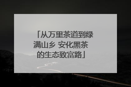 从万里茶道到绿满山乡 安化黑茶的生态致富路