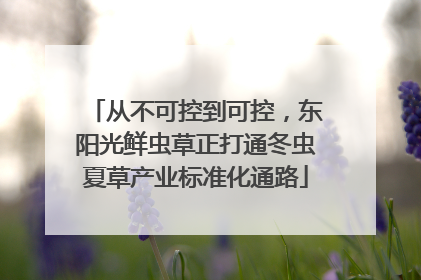从不可控到可控，东阳光鲜虫草正打通冬虫夏草产业标准化通路