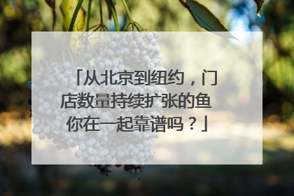 从北京到纽约，门店数量持续扩张的鱼你在一起靠谱吗？