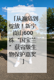 从濒危到绽放！新宁崀山600株“国宝兰”获省级生物保护嘉奖