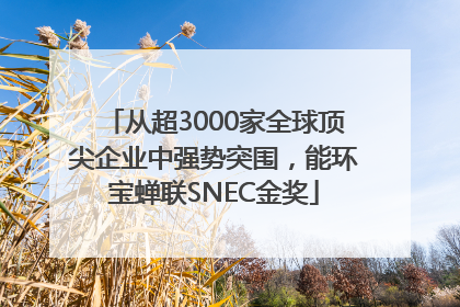 从超3000家全球顶尖企业中强势突围，能环宝蝉联SNEC金奖