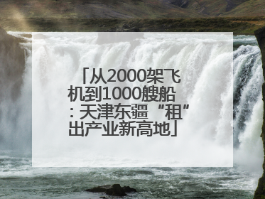 从2000架飞机到1000艘船：天津东疆“租”出产业新高地