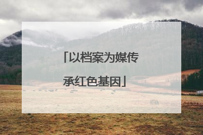 以档案为媒传承红色基因
