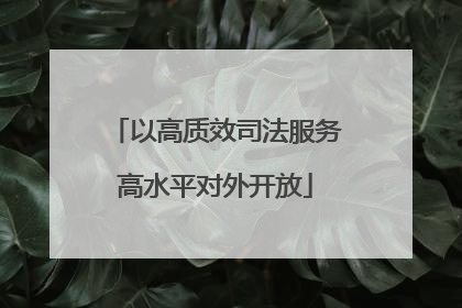 以高质效司法服务高水平对外开放