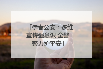 伊春公安：多维宣传强意识 全警聚力护平安