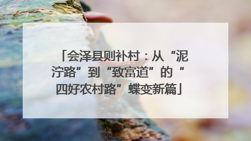 会泽县则补村：从“泥泞路”到“致富道”的“四好农村路”蝶变新篇