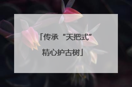 传承“天把式” 精心护古树