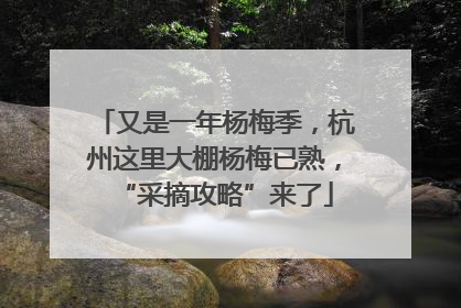 又是一年杨梅季，杭州这里大棚杨梅已熟，“采摘攻略”来了