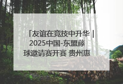 友谊在竞技中升华｜2025中国-东盟藤球邀请赛开赛 贵州惠水燃动“空中芭蕾”
