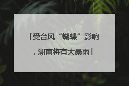 受台风“蝴蝶”影响，湖南将有大暴雨