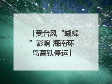 受台风“蝴蝶”影响 海南环岛高铁停运