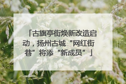 古旗亭街焕新改造启动，扬州古城“网红街巷”将添“新成员”