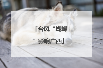 台风“蝴蝶”影响广西