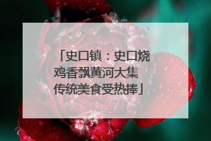 史口镇：史口烧鸡香飘黄河大集 传统美食受热捧