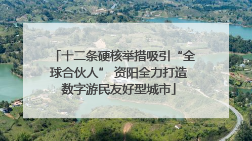十二条硬核举措吸引“全球合伙人” 资阳全力打造数字游民友好型城市