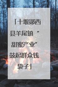 十堰郧西县羊尾镇“甜蜜产业”鼓起群众钱袋子