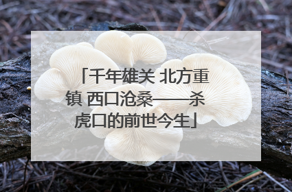 千年雄关 北方重镇 西口沧桑——杀虎口的前世今生