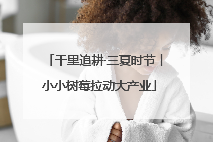 千里追耕·三夏时节丨小小树莓拉动大产业