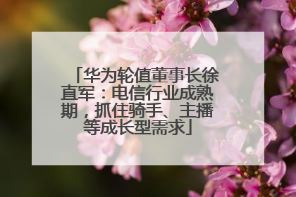华为轮值董事长徐直军：电信行业成熟期，抓住骑手、主播等成长型需求