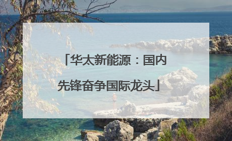 华太新能源：国内先锋奋争国际龙头