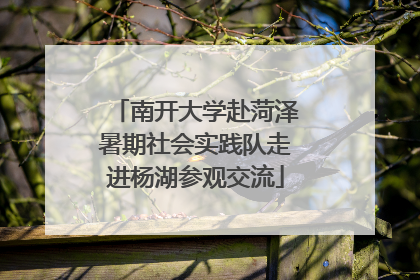 南开大学赴菏泽暑期社会实践队走进杨湖参观交流