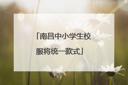 南昌中小学生校服将统一款式