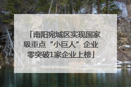 南阳宛城区实现国家级重点“小巨人”企业零突破1家企业上榜
