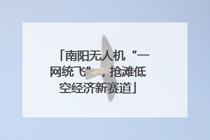 南阳无人机“一网统飞”，抢滩低空经济新赛道