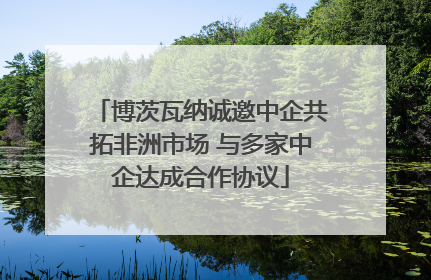 博茨瓦纳诚邀中企共拓非洲市场 与多家中企达成合作协议