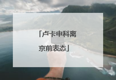 卢卡申科离京前表态