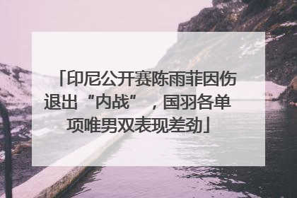 印尼公开赛陈雨菲因伤退出“内战”，国羽各单项唯男双表现差劲