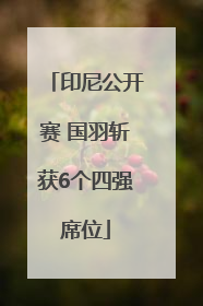 印尼公开赛 国羽斩获6个四强席位