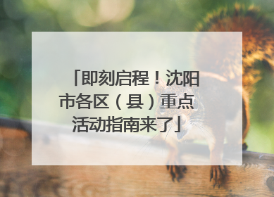 即刻启程！沈阳市各区（县）重点活动指南来了