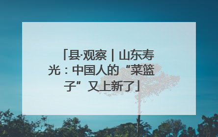 县·观察｜山东寿光：中国人的“菜篮子”又上新了
