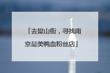 去望山街，寻找南京最美鸭血粉丝店