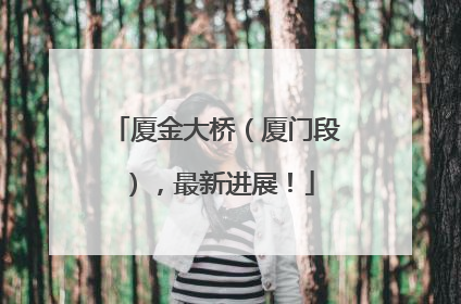 厦金大桥（厦门段），最新进展！