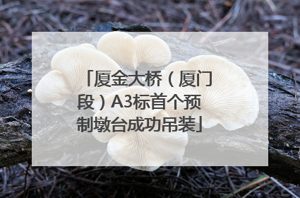 厦金大桥（厦门段）A3标首个预制墩台成功吊装
