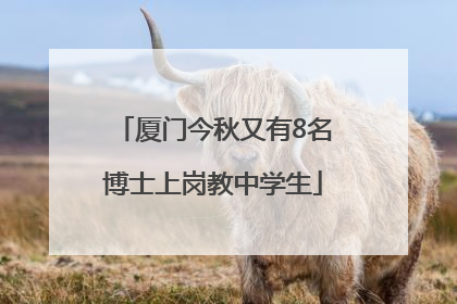 厦门今秋又有8名博士上岗教中学生