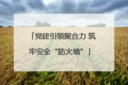党建引领聚合力 筑牢安全“防火墙”