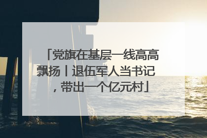 党旗在基层一线高高飘扬丨退伍军人当书记，带出一个亿元村