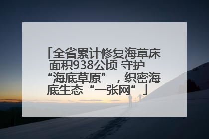 全省累计修复海草床面积938公顷 守护“海底草原”，织密海底生态“一张网”