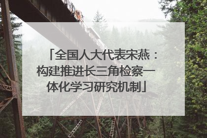 全国人大代表宋燕：构建推进长三角检察一体化学习研究机制