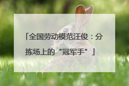 全国劳动模范汪俊：分拣场上的“冠军手”