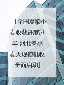 全国夏粮小麦收获进度过半 河北冬小麦大规模机收全面启动