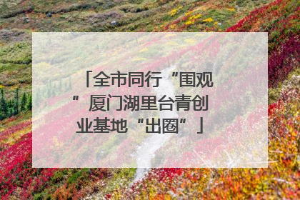 全市同行“围观”厦门湖里台青创业基地“出圈”