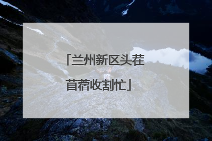 兰州新区头茬苜蓿收割忙