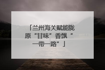 兰州海关赋能陇原“甘味”香飘“一带一路”